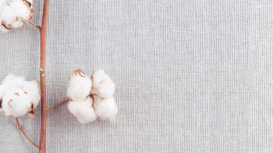Why You Should Choose Organic Cotton T-Shirts