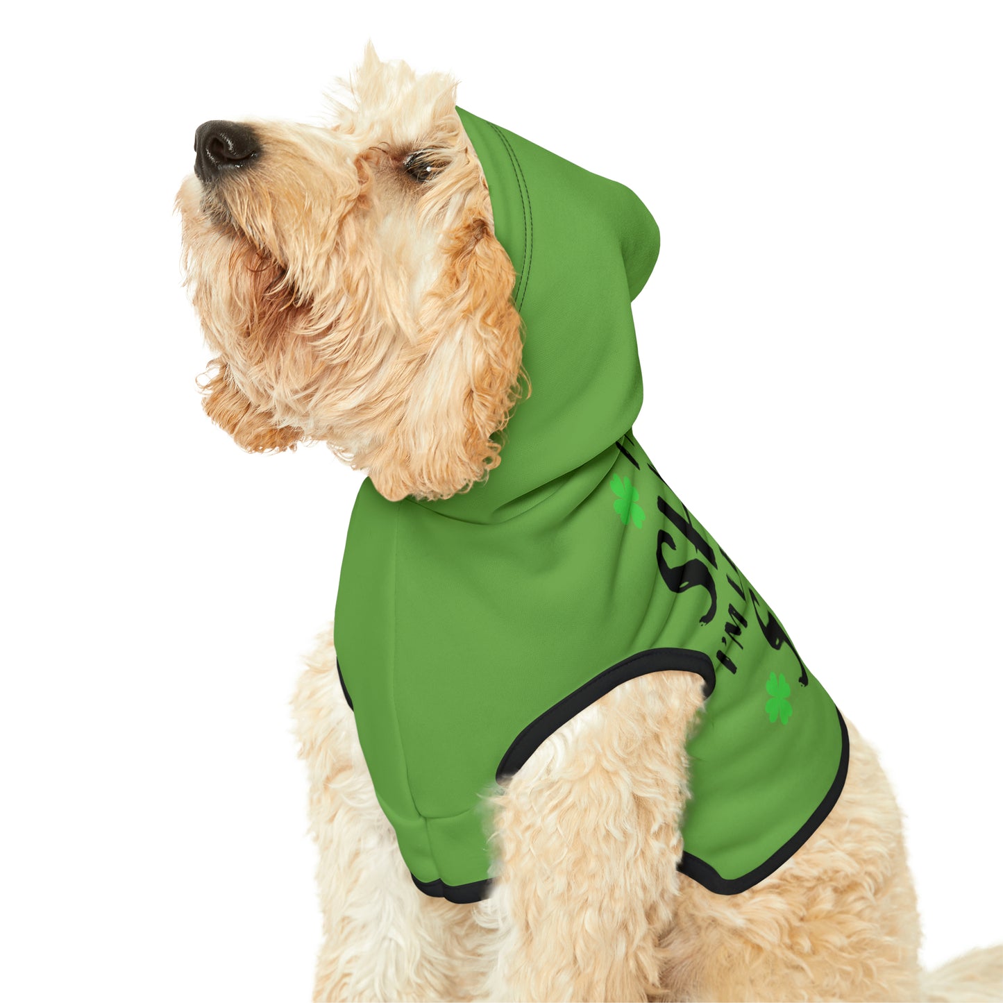 Leprechaun Dog Hoodie