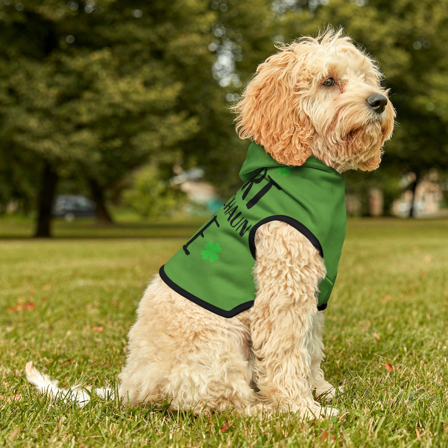 Leprechaun Dog Hoodie