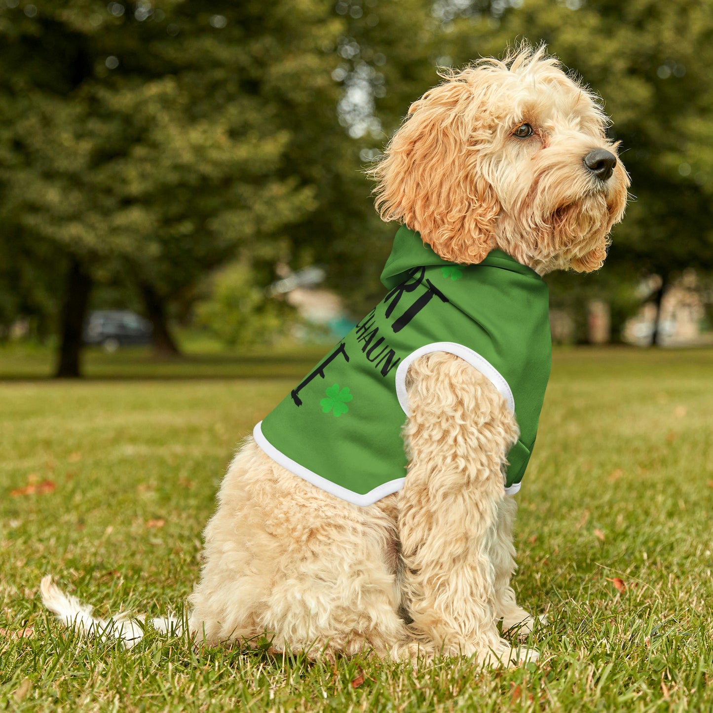 Leprechaun Dog Hoodie