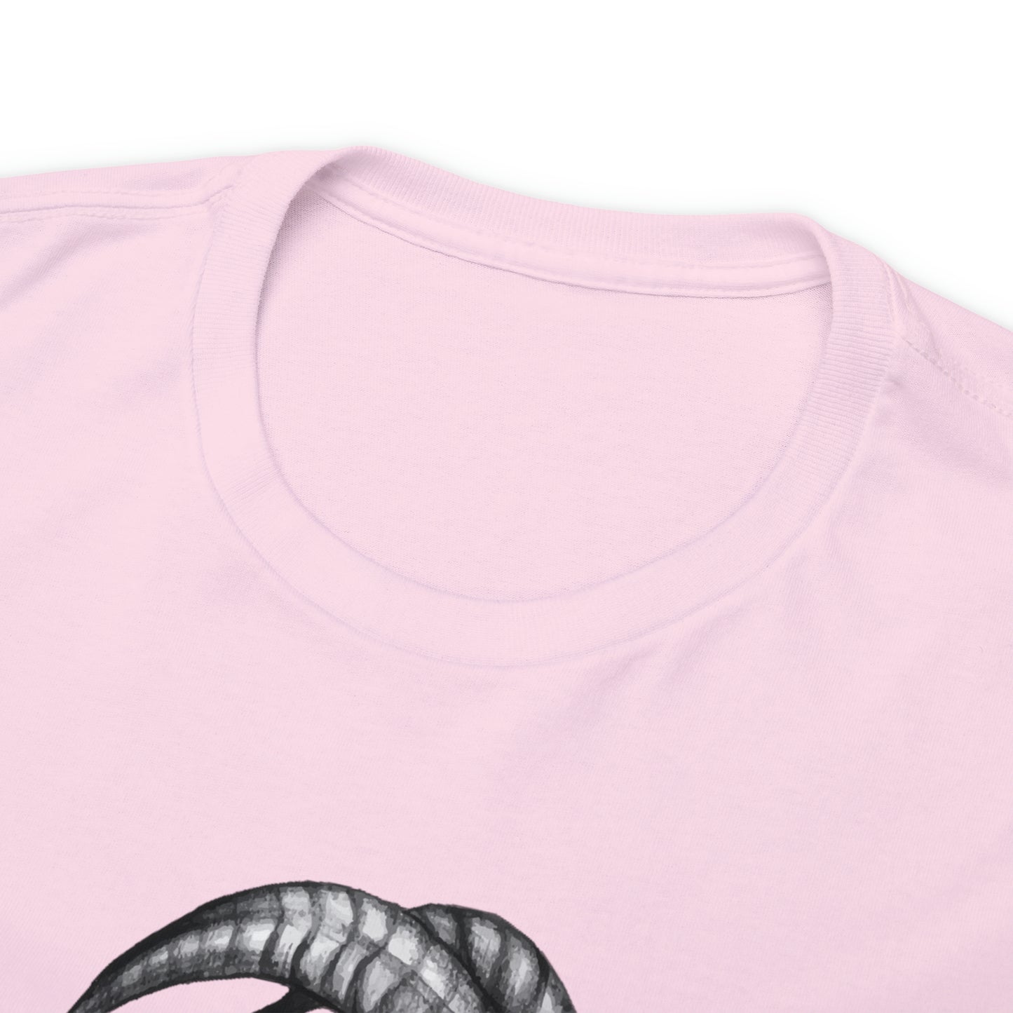 Capricorn Zodiac Sign - Unisex Heavy Cotton Tee