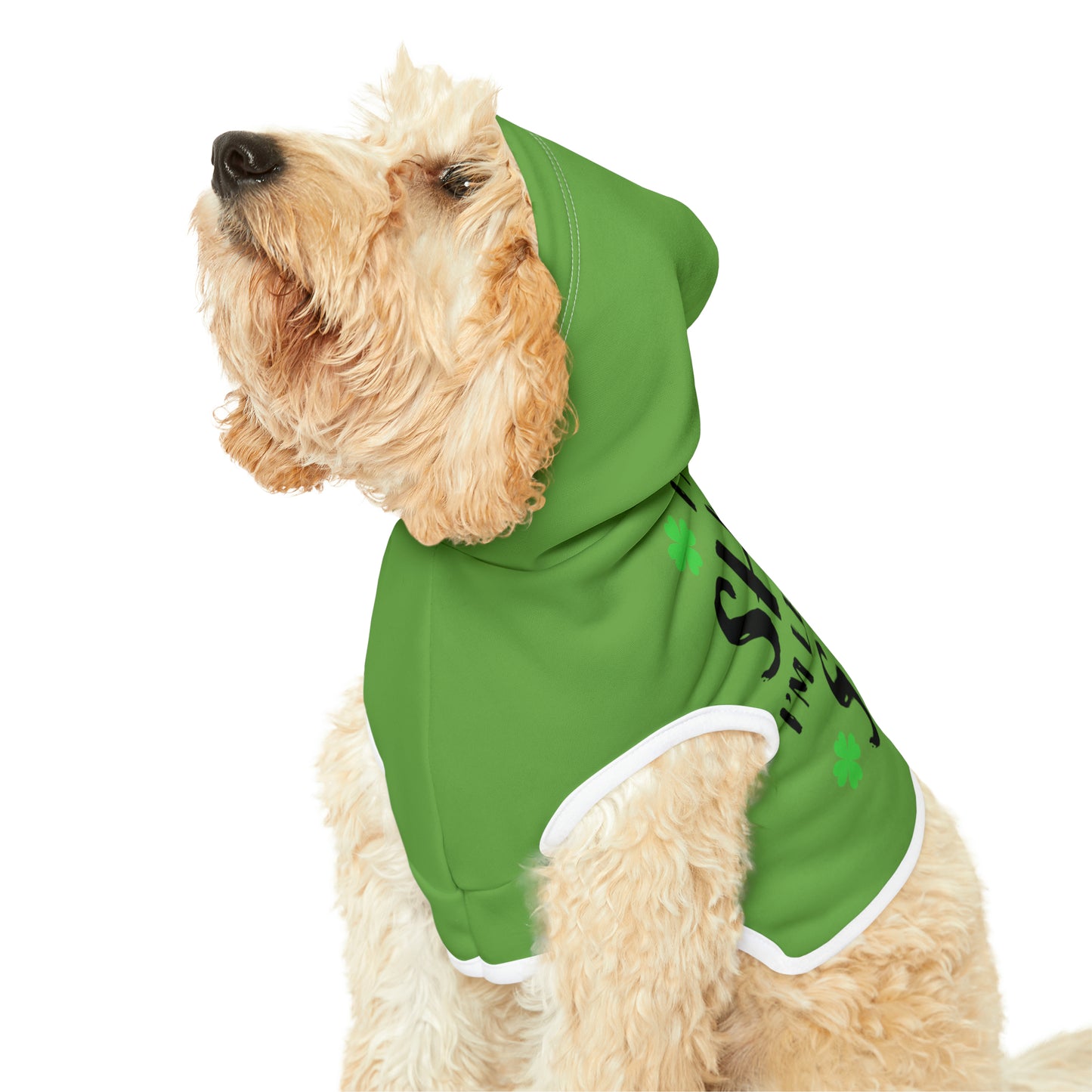 Leprechaun Dog Hoodie