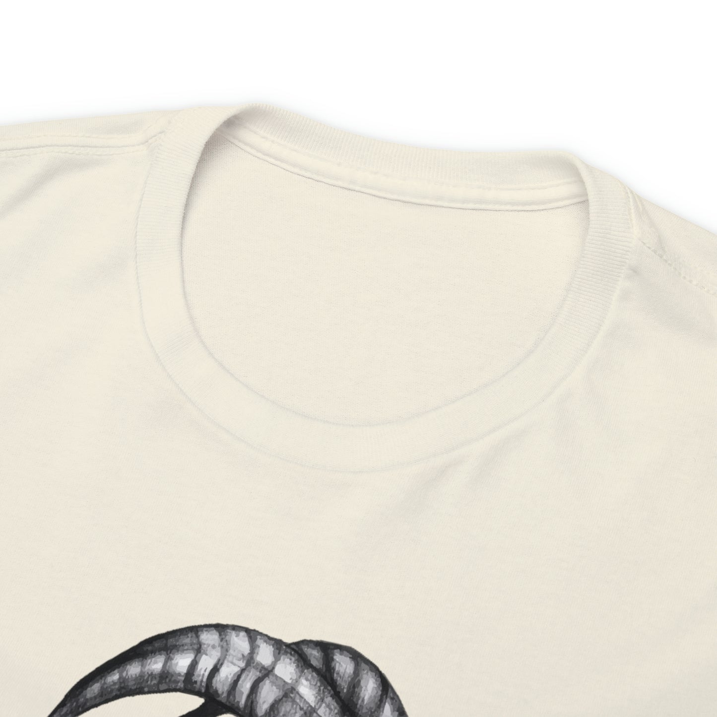 Capricorn Zodiac Sign - Unisex Heavy Cotton Tee