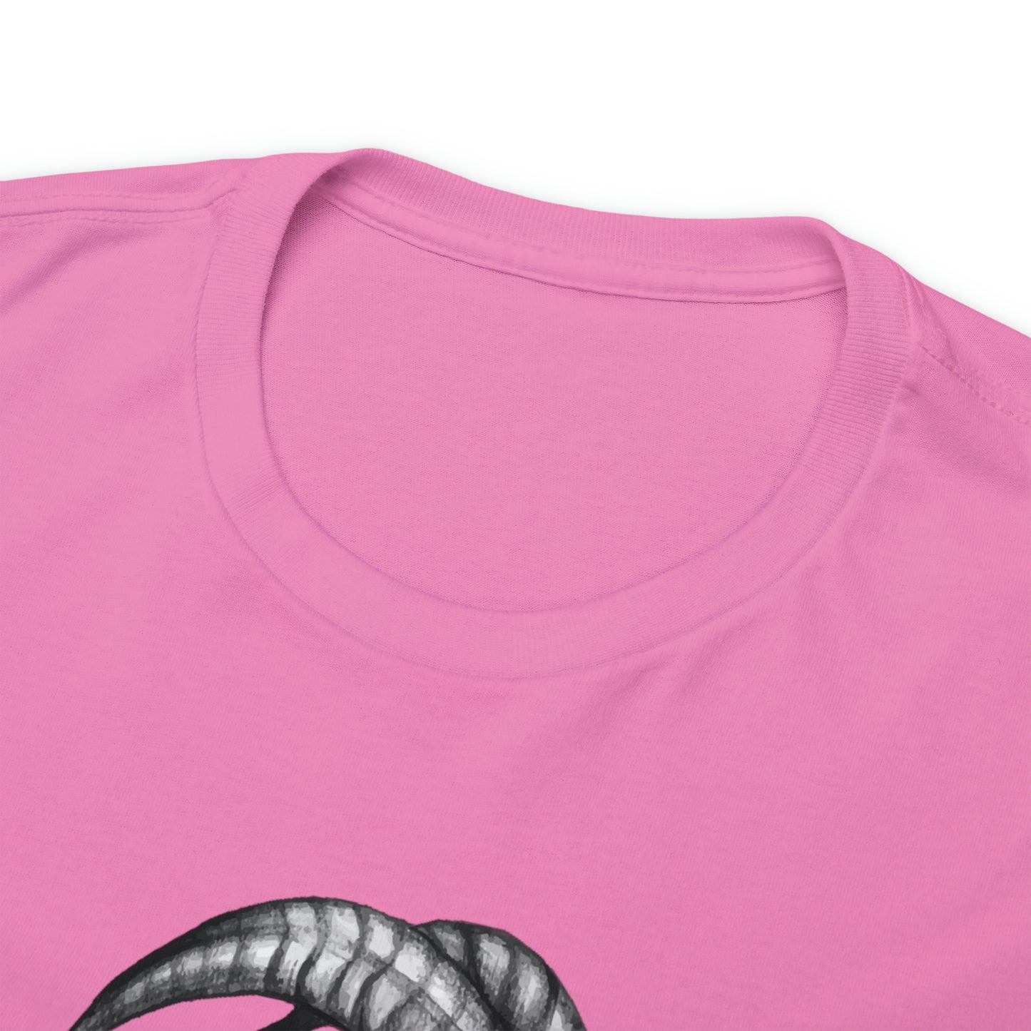 Capricorn Zodiac Sign - Unisex Heavy Cotton Tee