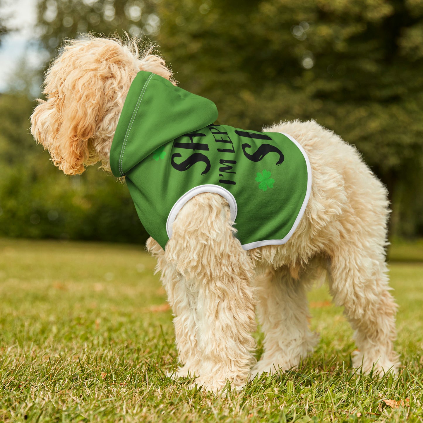 Leprechaun Dog Hoodie
