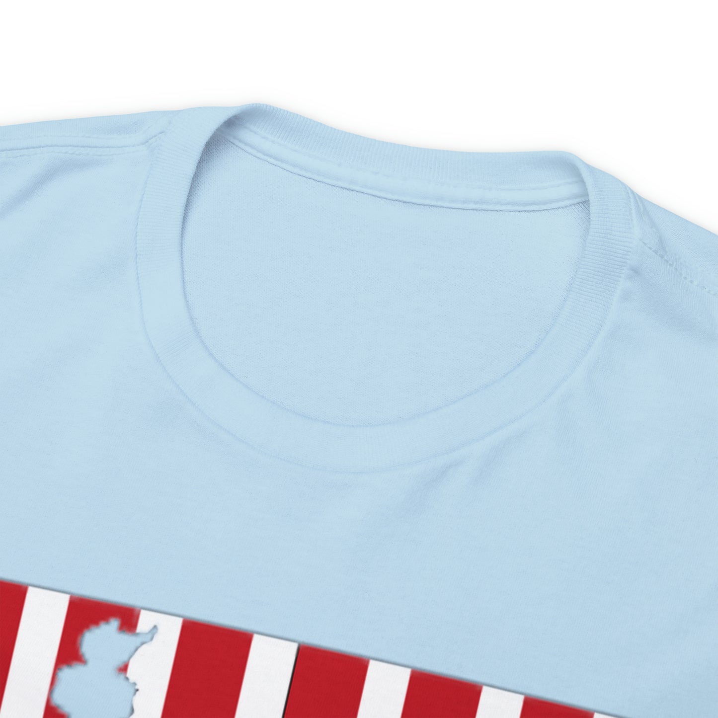 Celebrating Labor Day #2 - Unisex Heavy Cotton Tee