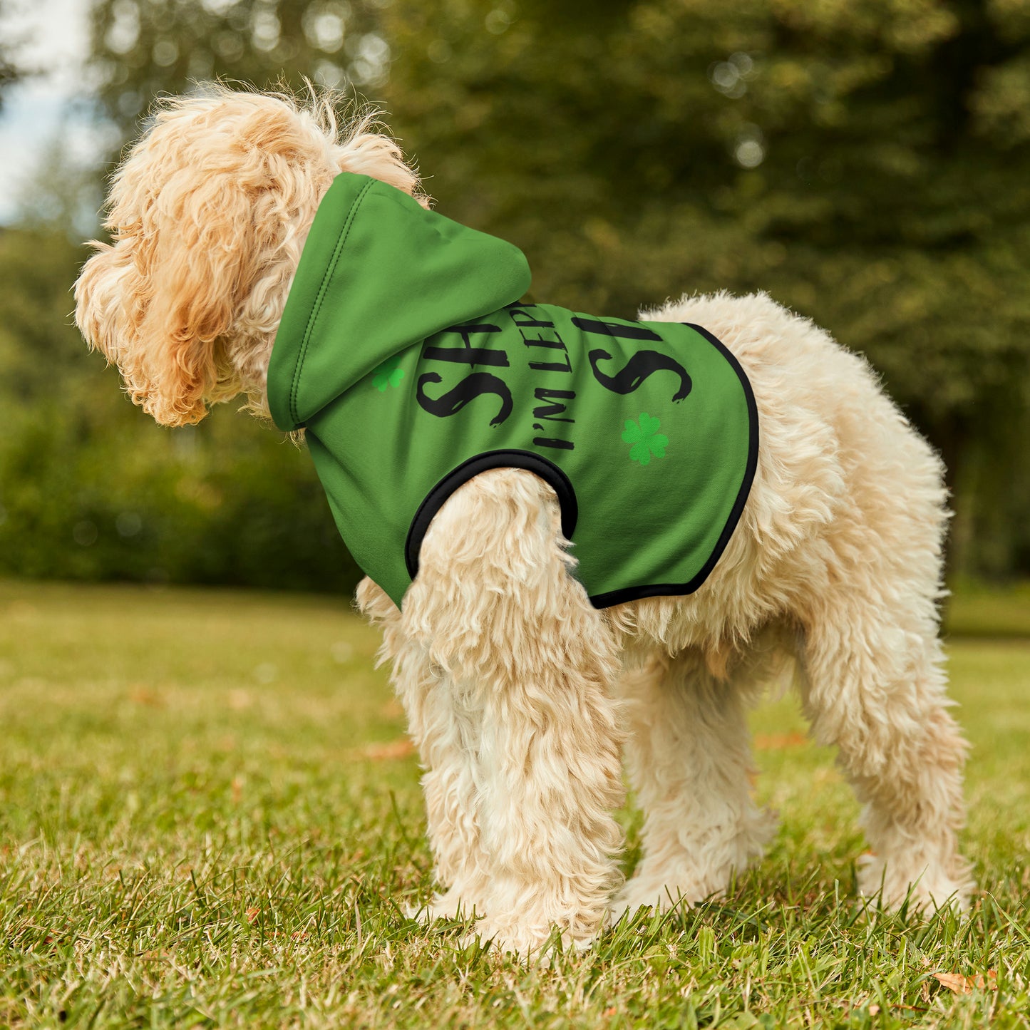 Leprechaun Dog Hoodie