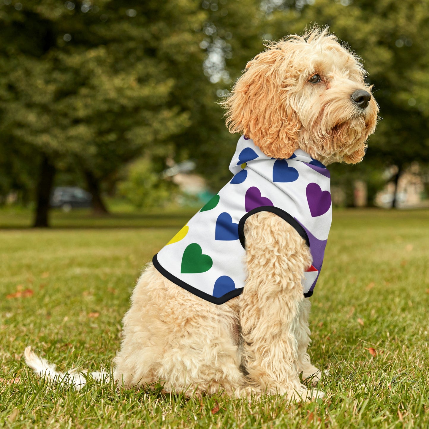 Dog Hoodie