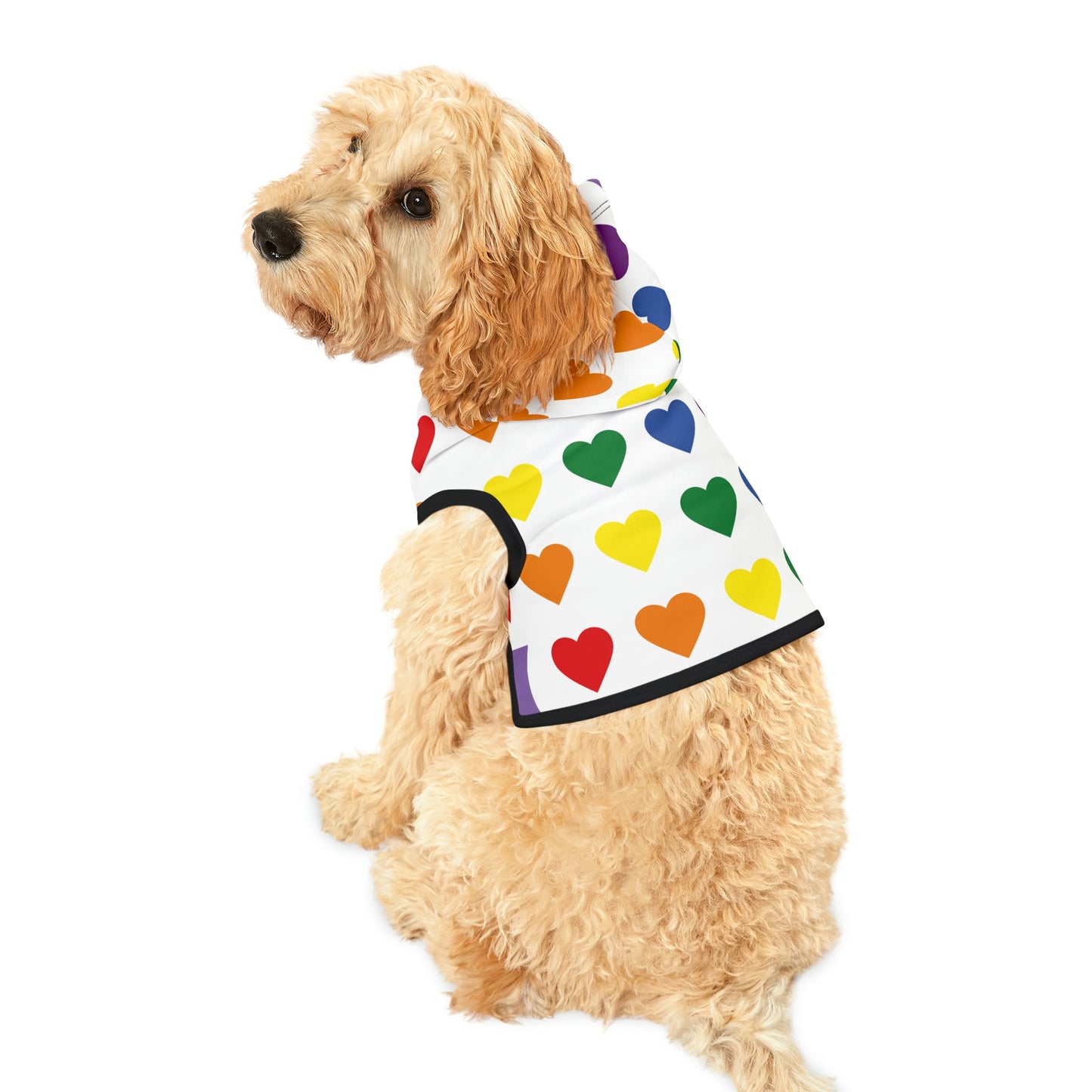 Dog Hoodie