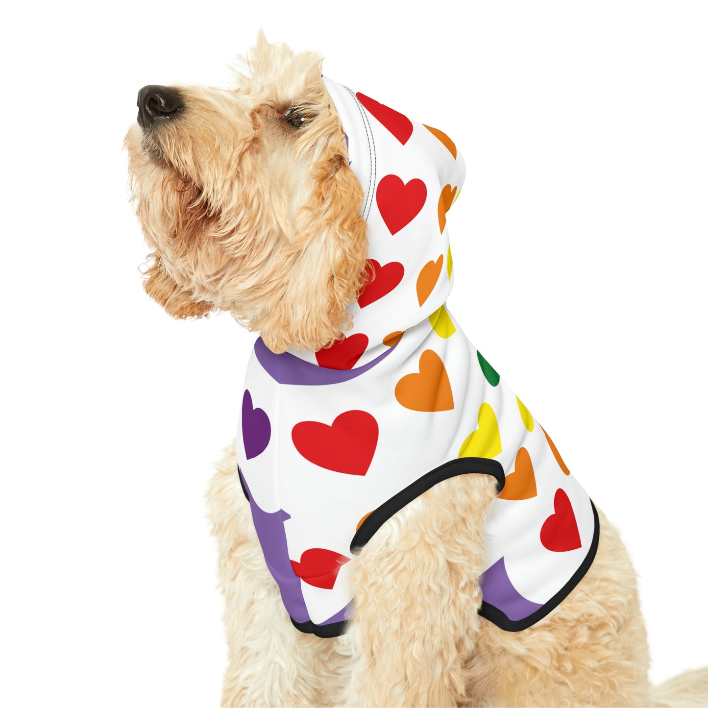 Dog Hoodie