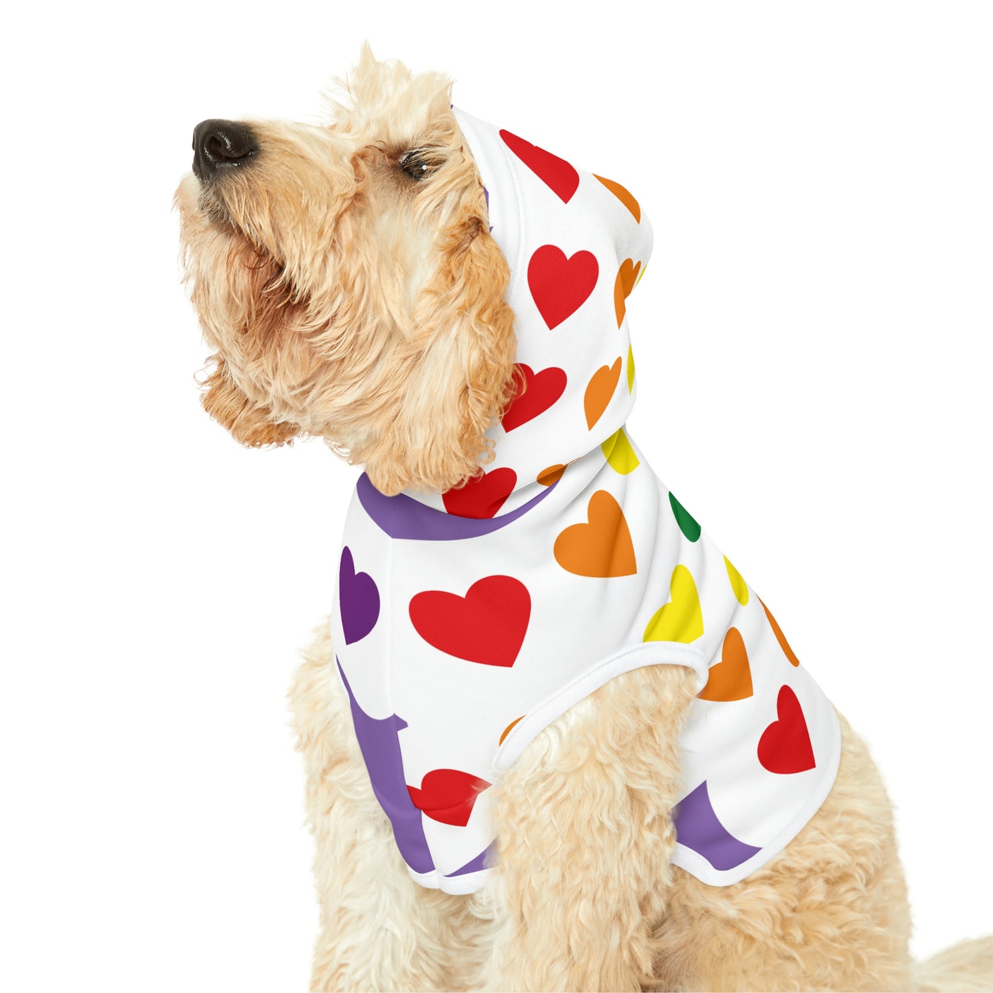 Dog Hoodie