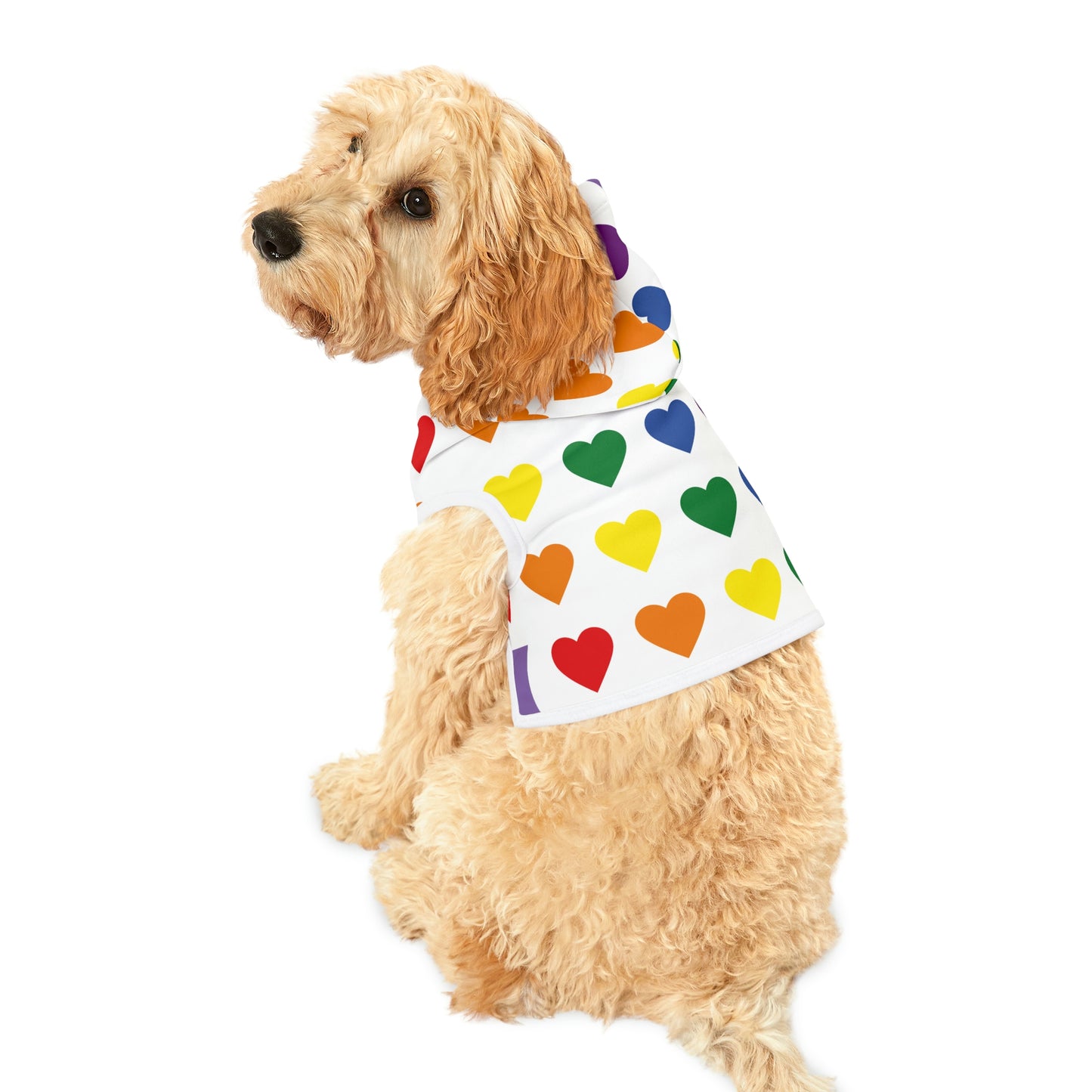 Dog Hoodie