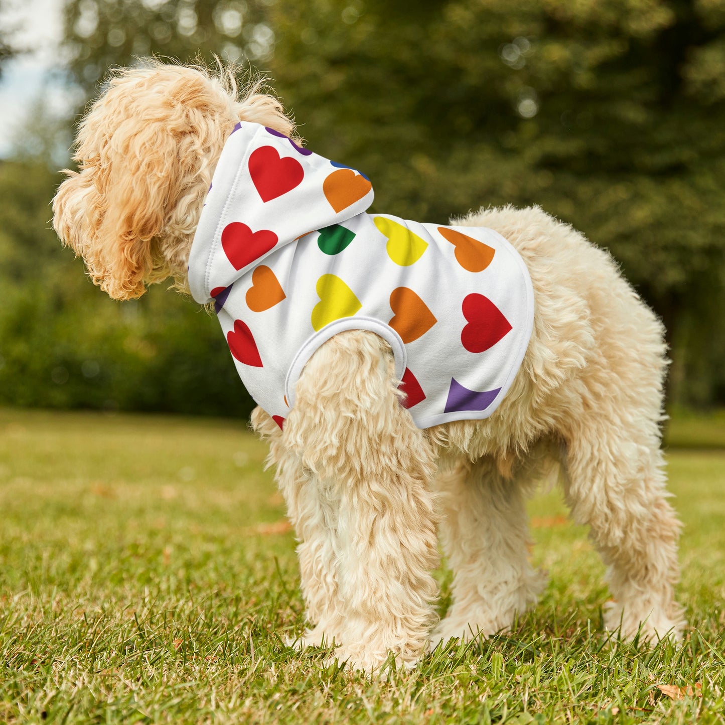 Dog Hoodie