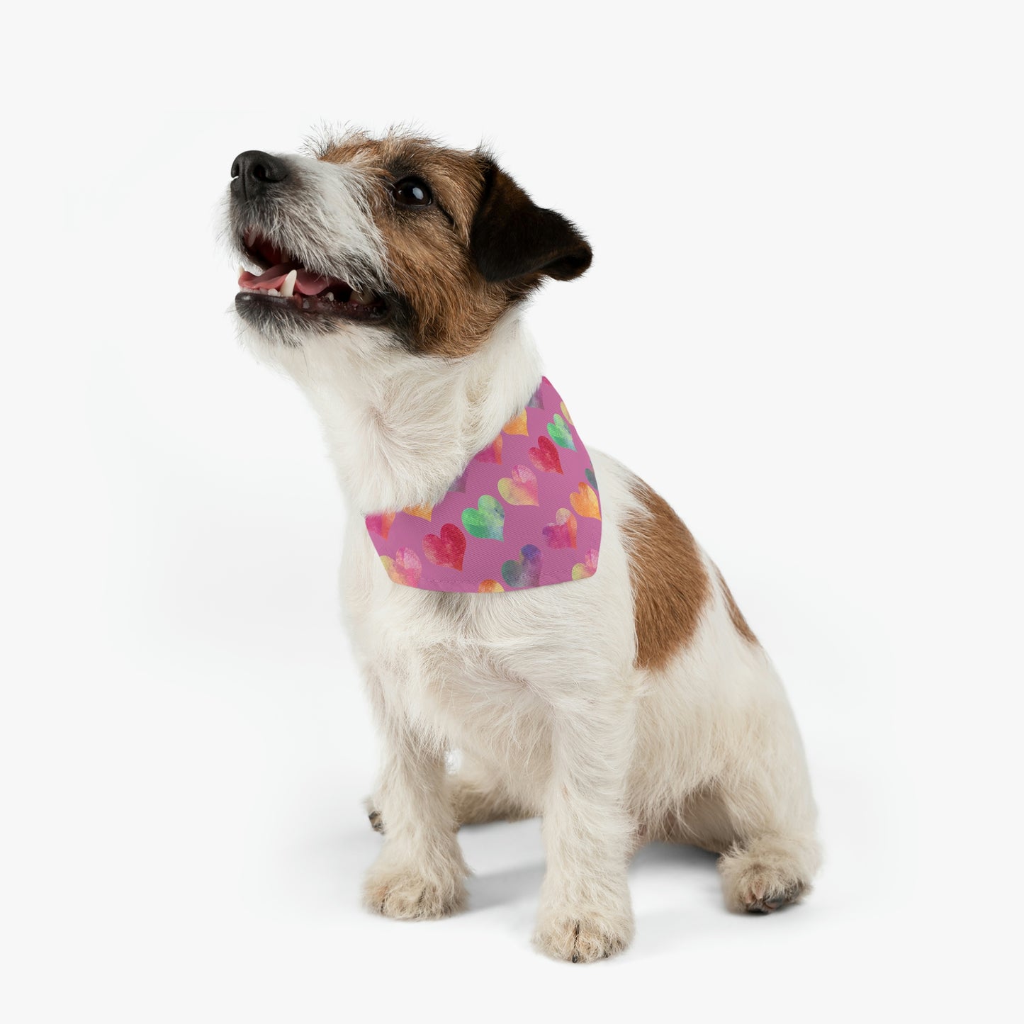 Hearts Pet Bandana Collar