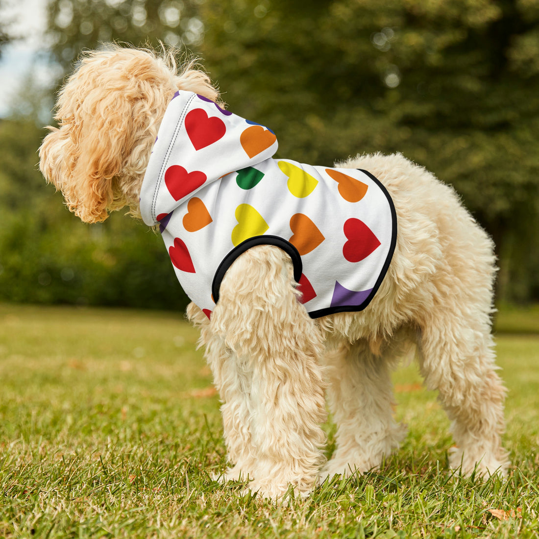 🐾🌟 Introducing the Paw-some Small Dog Hoodie: Hearts Edition! 🌟🐾